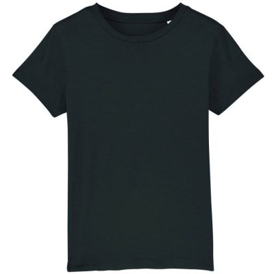 Stanley / Stella Organic Presenter V-Neck T-Shirt